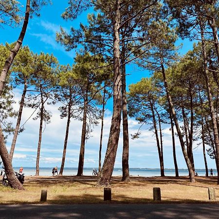 Palm Appart Biscarrosse-Plage Eksteriør bilde